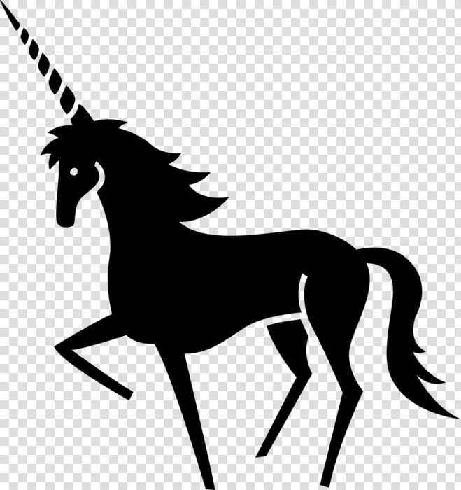 Transparent Unicorn Vector Png   Unicorn And Narwhal Rainbow  Png DownloadTransparent PNG