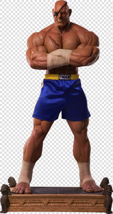 Street Fighter Sagat Action Figures  HD Png DownloadTransparent PNG