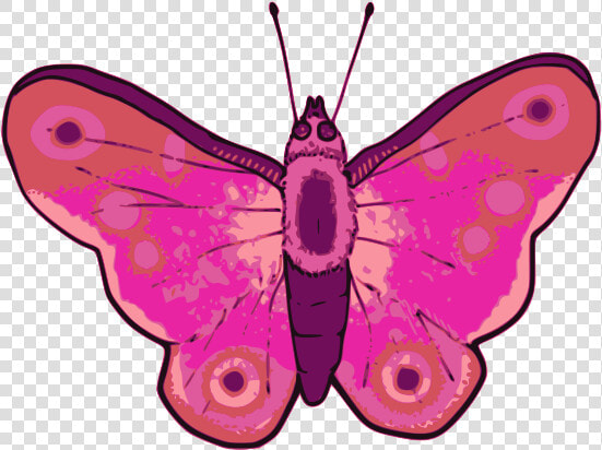 Desenho De Borboletas Rosa Png  Transparent PngTransparent PNG