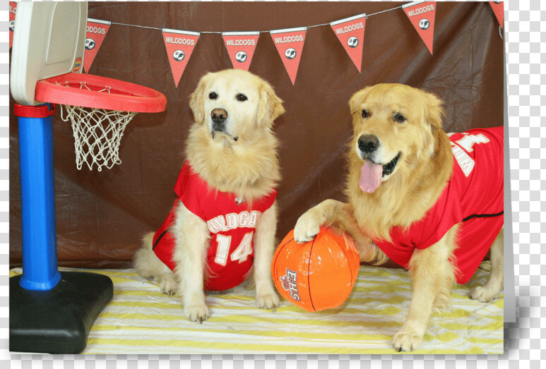 A Slam Dunk Birthday Greeting Card  HD Png DownloadTransparent PNG