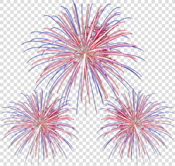  firework  fireworks  firefighters  fighter  fight   Transparent Background Fireworks Gif  HD Png DownloadTransparent PNG