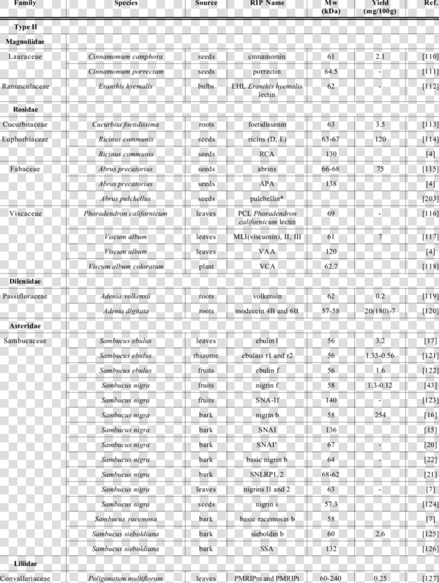 Classification Of Fungi And Bacteria  HD Png DownloadTransparent PNG