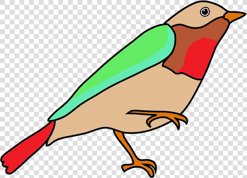 Dendroica Colored Fantasy Colors   Birds Sketches With Colors  HD Png DownloadTransparent PNG