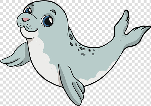 How To Draw Baby Seal   Draw A Baby Seal  HD Png DownloadTransparent PNG