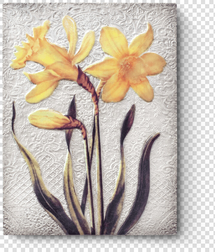 Narcissus  HD Png DownloadTransparent PNG