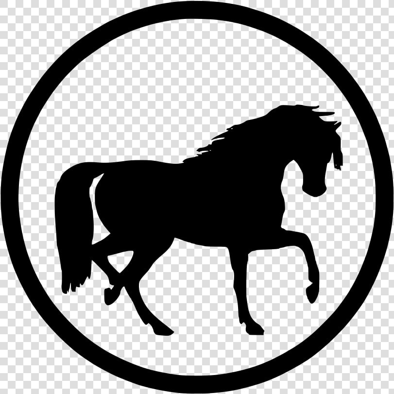 Transparent Caballo Clipart   Horse Silhouette Clip Art  HD Png DownloadTransparent PNG