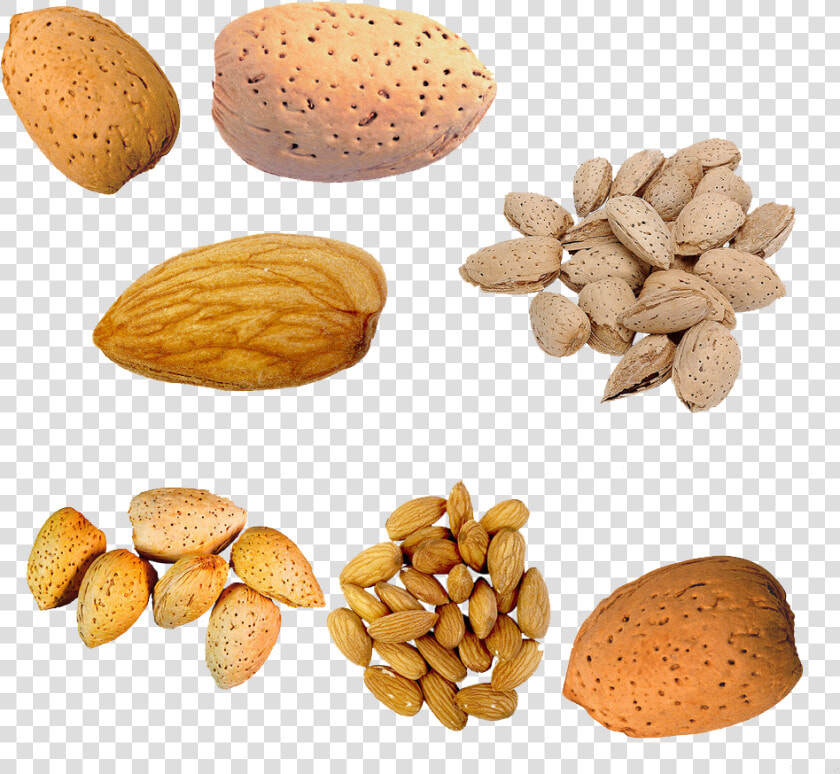 Nut U Cu Du   Almond In Peach Nut  HD Png DownloadTransparent PNG