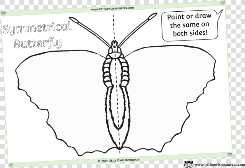 Symmetrical Blank Butterfly Sheet   Sketch  HD Png DownloadTransparent PNG