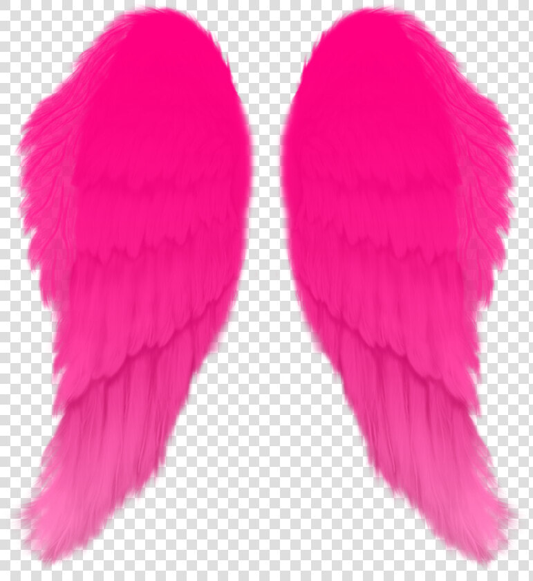 Asa De Anjo Rosa  HD Png DownloadTransparent PNG