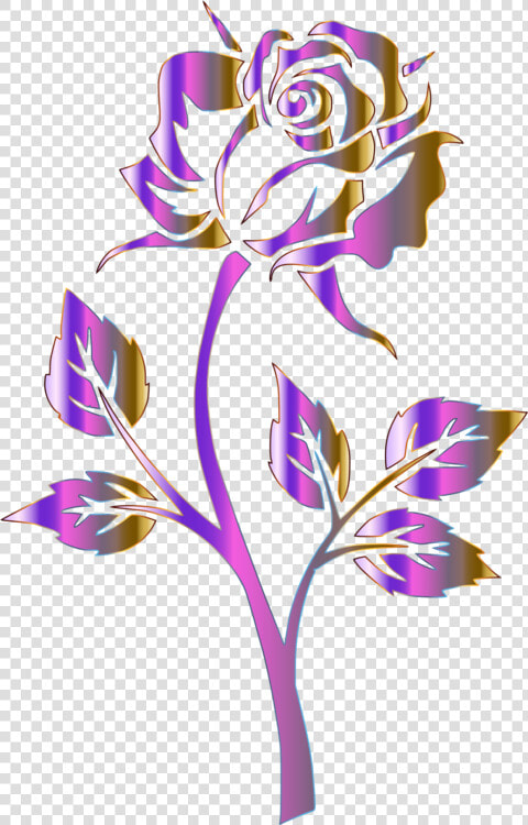 Plant flora rose Order   Clip Art Rose  HD Png DownloadTransparent PNG