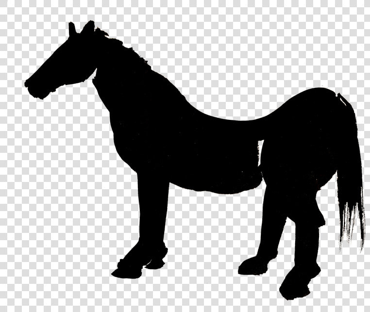 Pygmy Goat Clipart   Quarter Horse Truck Decals  HD Png DownloadTransparent PNG