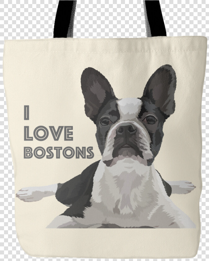 Boston Terrier Puppies  HD Png DownloadTransparent PNG