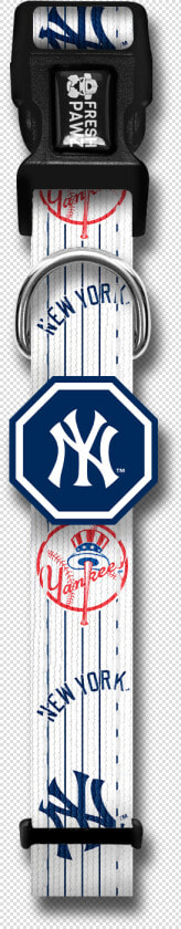 New York Yankees X Fresh Pawz  HD Png DownloadTransparent PNG