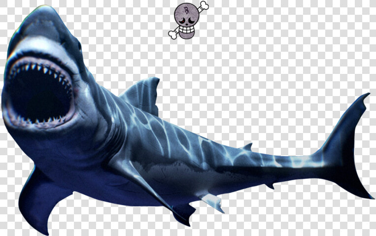 Scary Great White Shark Png   Mako Shark Png  Transparent PngTransparent PNG