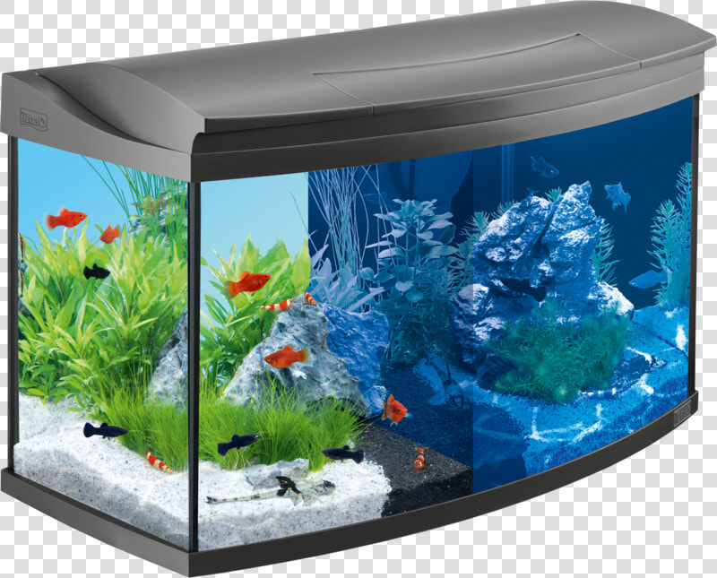 Aquarium Background Transparent   100 Litre Tropical Fish Tank  HD Png DownloadTransparent PNG