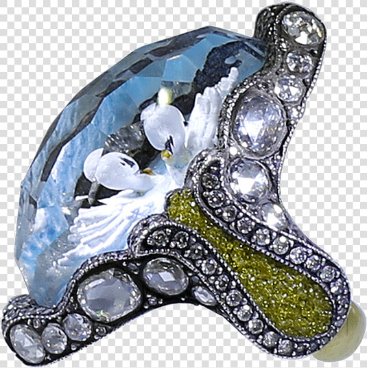 Ring Sevan Bicakci  HD Png DownloadTransparent PNG