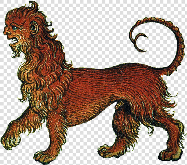 Transparent Ancient Greece Png   Masai Lion  Png DownloadTransparent PNG