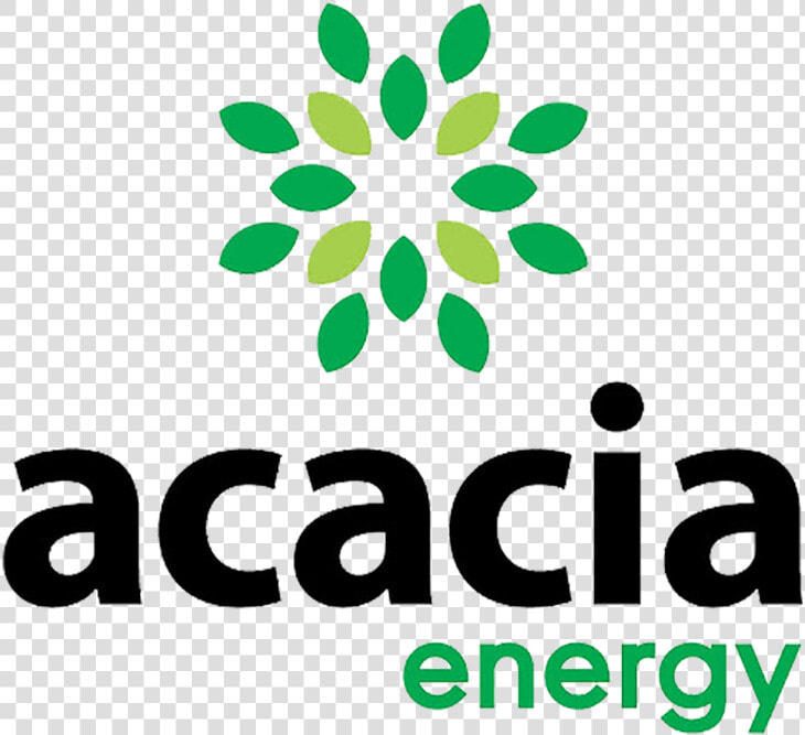 Sq acacia   Acacia Energy  HD Png DownloadTransparent PNG