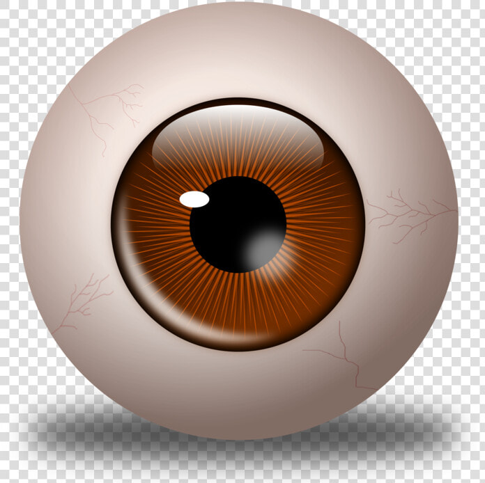 Iris close Up eye  HD Png DownloadTransparent PNG