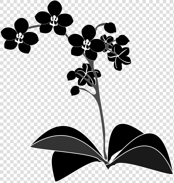 Plant flora leaf   Orchid Vector Png  Transparent PngTransparent PNG