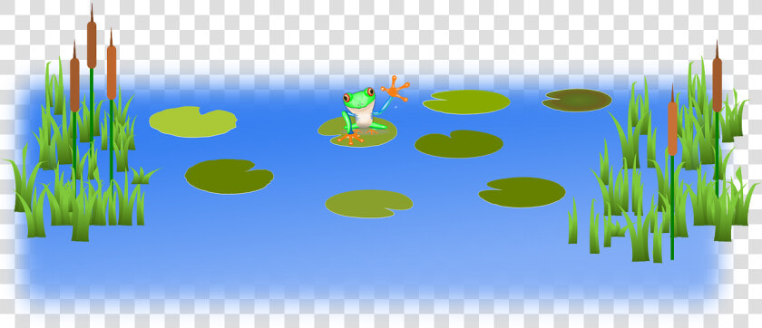 Pond Clipart Swamp  HD Png DownloadTransparent PNG