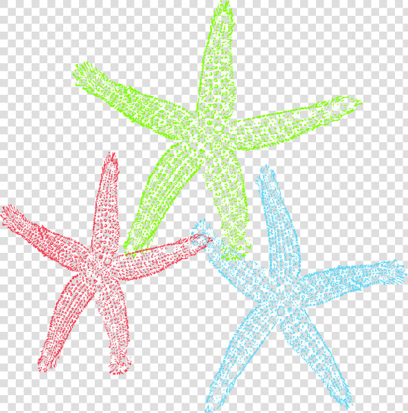 Free Set Of Three Colorful Starfish Clip Art   Starfish  HD Png DownloadTransparent PNG