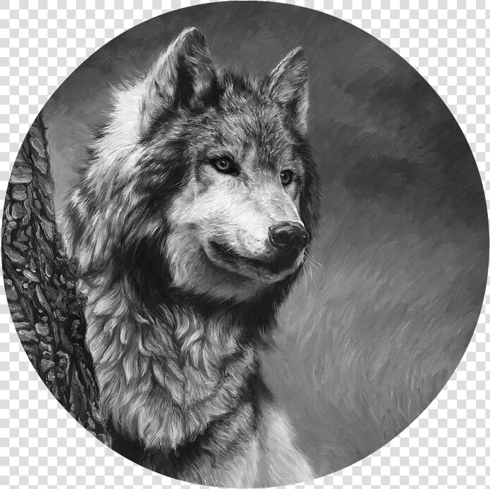 Gray Wolf Black And White Lucie Bilodeau   Gray Wolf   Black And White  HD Png DownloadTransparent PNG