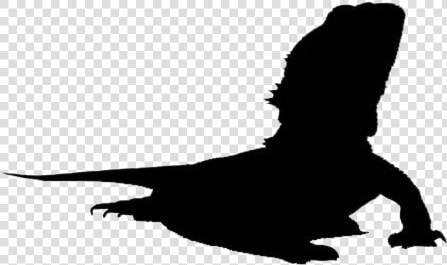 Bearded Dragon Png Image   Bearded Dragon Silhouette Free  Transparent PngTransparent PNG