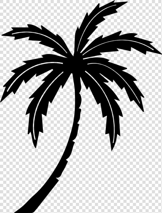 Free Stock Palm Tree Tropic Free Graphics Illustrations   Palm Tree Clip Art Black  HD Png DownloadTransparent PNG