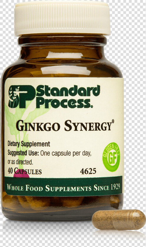 4625 Ginkgo Synergy Bottle Capsule   Ginkgo Supplement Standard Process  HD Png DownloadTransparent PNG