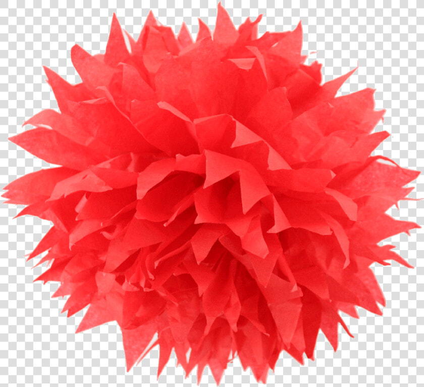 Pom Poms Png  Transparent PngTransparent PNG