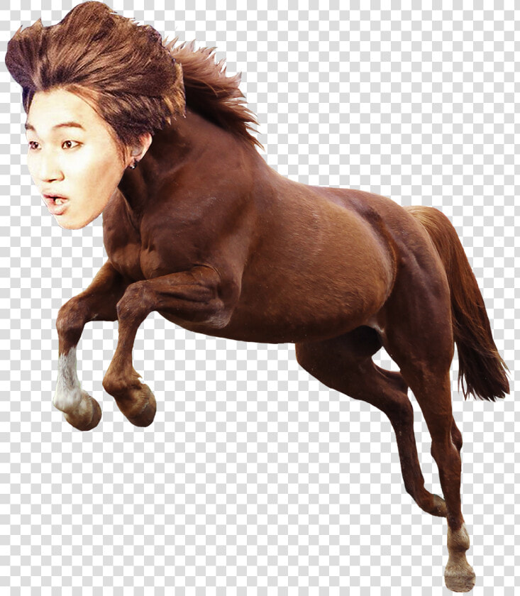 “horse Dae Transparent Png  Png DownloadTransparent PNG