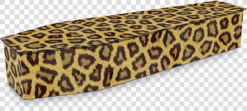 Leopard Coffin  HD Png DownloadTransparent PNG