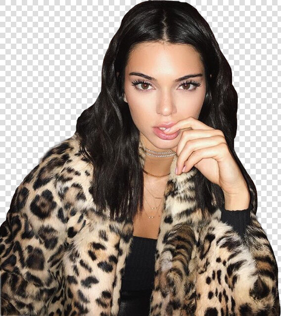 Transparent Kendall Jenner Png   Kendall Jenner Instagram Profile  Png DownloadTransparent PNG