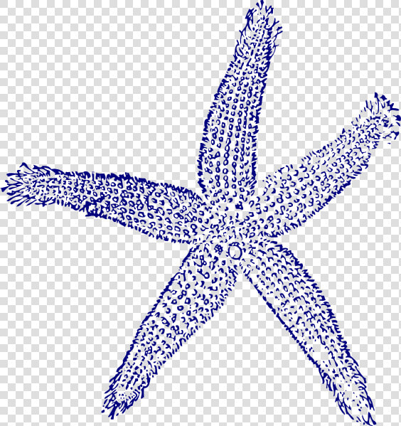 Navy Blue Starfish Clipart  HD Png DownloadTransparent PNG