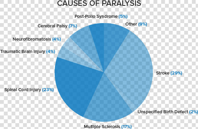 Leading Causes Of Paralysis  HD Png DownloadTransparent PNG