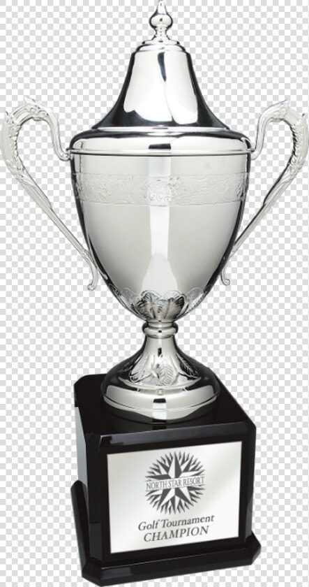 Swatkins Silver Hand crafted Cup On Black Royal Piano   Trophy  HD Png DownloadTransparent PNG