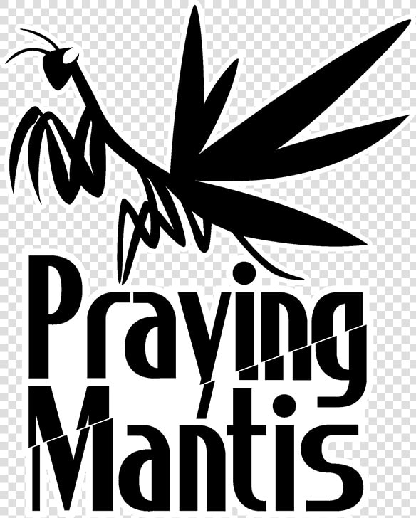 Praying Mantis Words  HD Png DownloadTransparent PNG