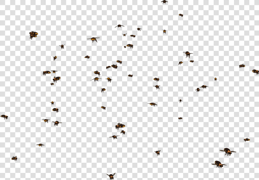 Transparent Swarm Clipart   Swarm Of Bees Png  Png DownloadTransparent PNG