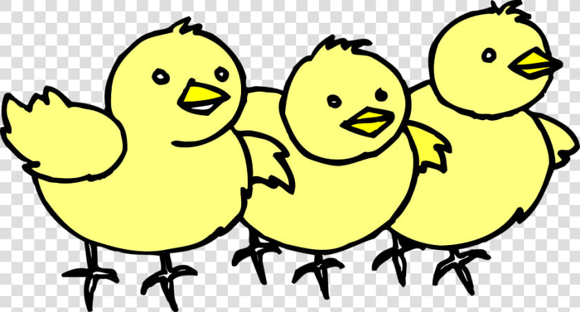 Chick Clipart Lpsk   Chicks Clipart  HD Png DownloadTransparent PNG