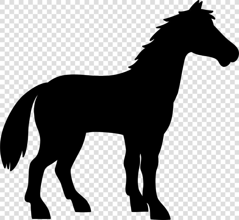 Mule Vector Graphics Donkey Silhouette Image   Vector Graphics  HD Png DownloadTransparent PNG