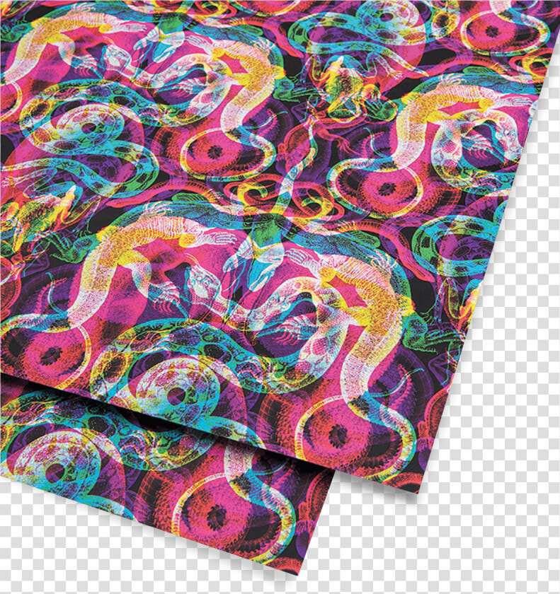 Snake  amp  Lizard Wrapping Paper  HD Png DownloadTransparent PNG