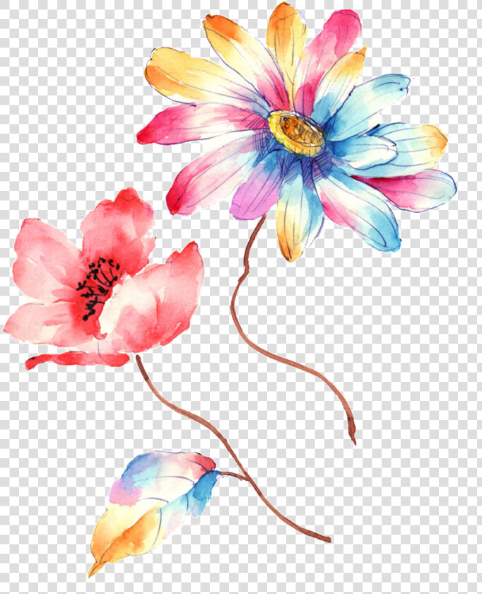 Colorful Gradient Hand Drawn Chrysanthemum Decorative   Illustration  HD Png DownloadTransparent PNG