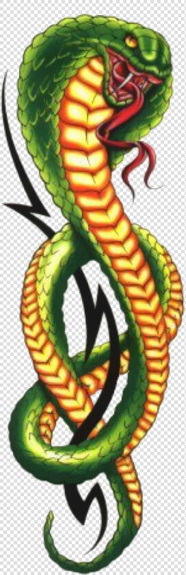 Download Cobra Clipart Png Photo   King Cobra Tattoo  Transparent PngTransparent PNG