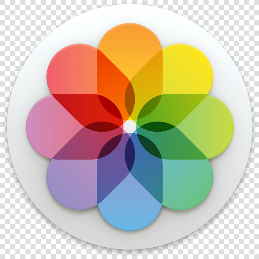  logopedia10   Gallery Ios Icon Png  Transparent PngTransparent PNG