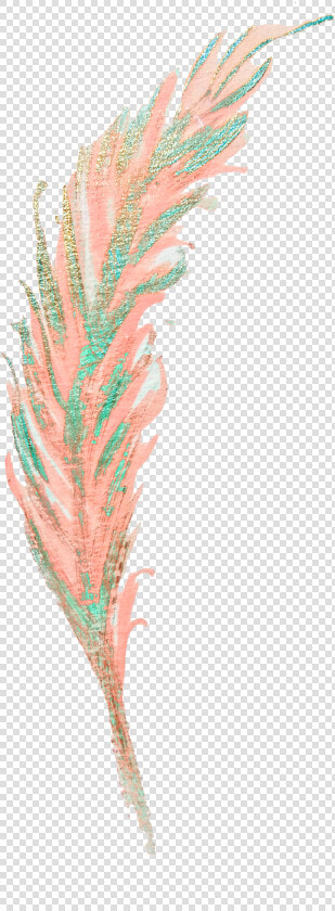  feather  featherwreath  bohemian  boho  colourful   Clip Art  HD Png DownloadTransparent PNG