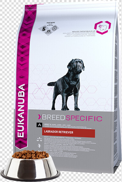 Eukanuba Adult Dry Dog Food For Labrador Retriever   Eukanuba Dla Labradora  HD Png DownloadTransparent PNG