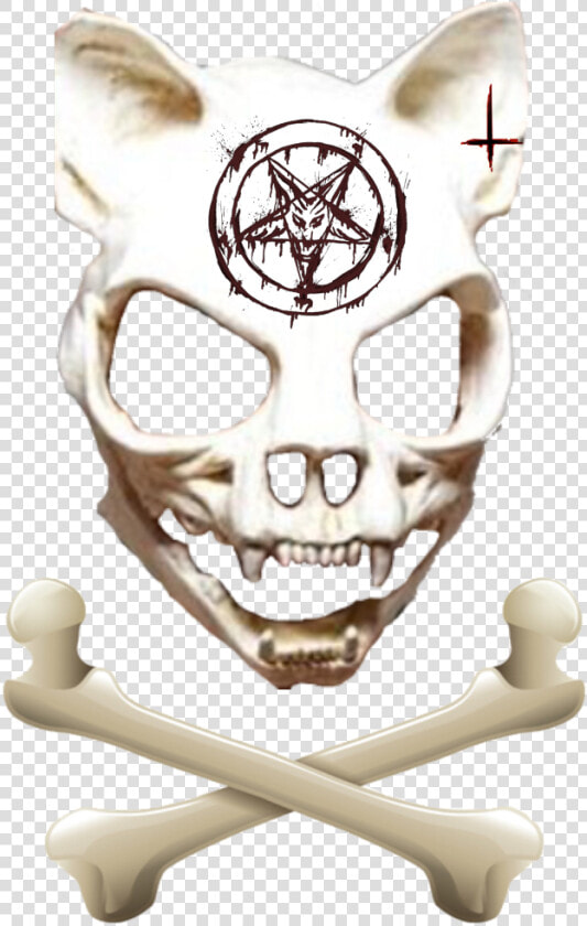  freetoedit  satan  wolf  skull  bone  wolfskull   Skull  HD Png DownloadTransparent PNG