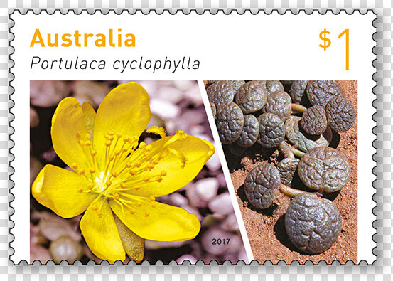 Australian Succulent 2017 Australian Stamp  HD Png DownloadTransparent PNG