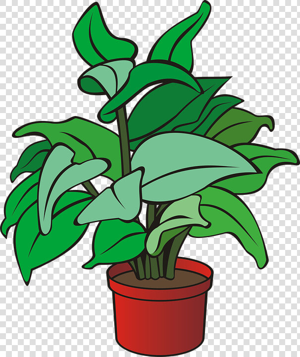 Plant  Green Plant  Garden  Gardening  Pot  Flower   Clipart Of A Plant  HD Png DownloadTransparent PNG